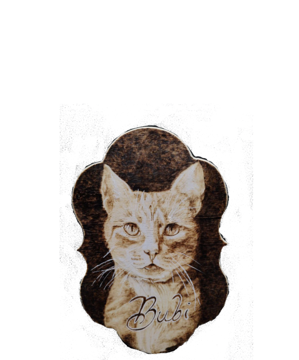 Pyrography Collection