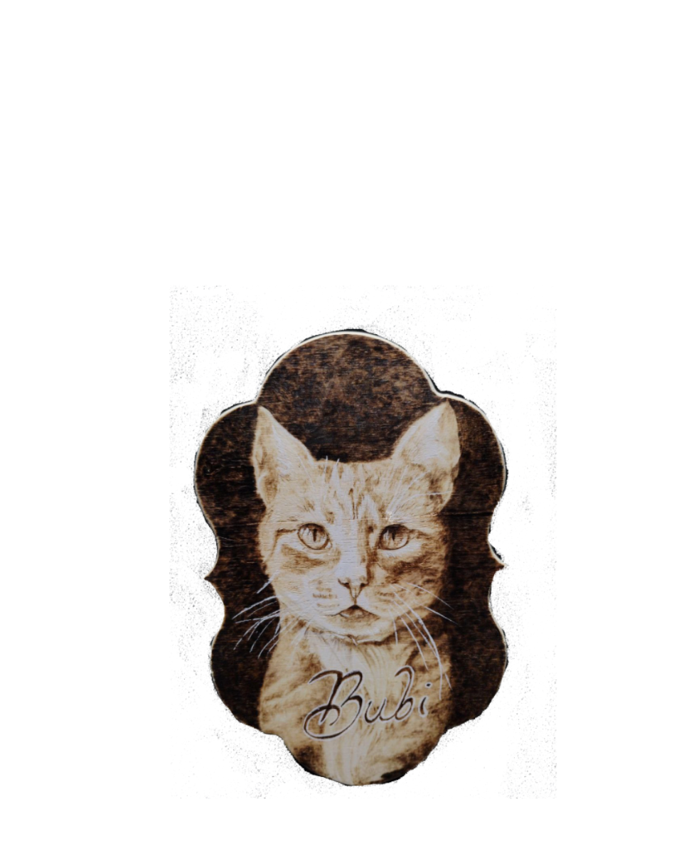 Pyrography Collection Pyrography Collection